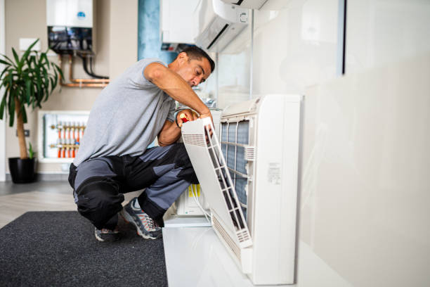 Best Affordable Duct Cleaning Services  in Chandler, IN